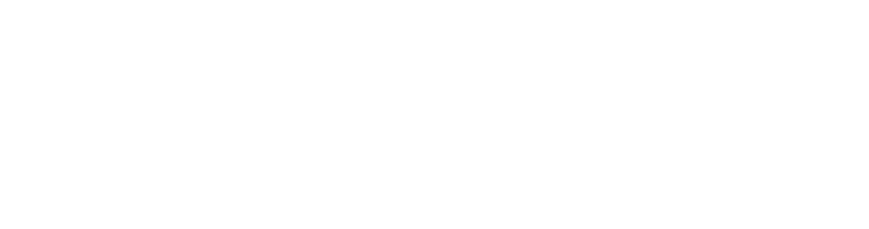 Logo - Kein Öffentliches Interesse